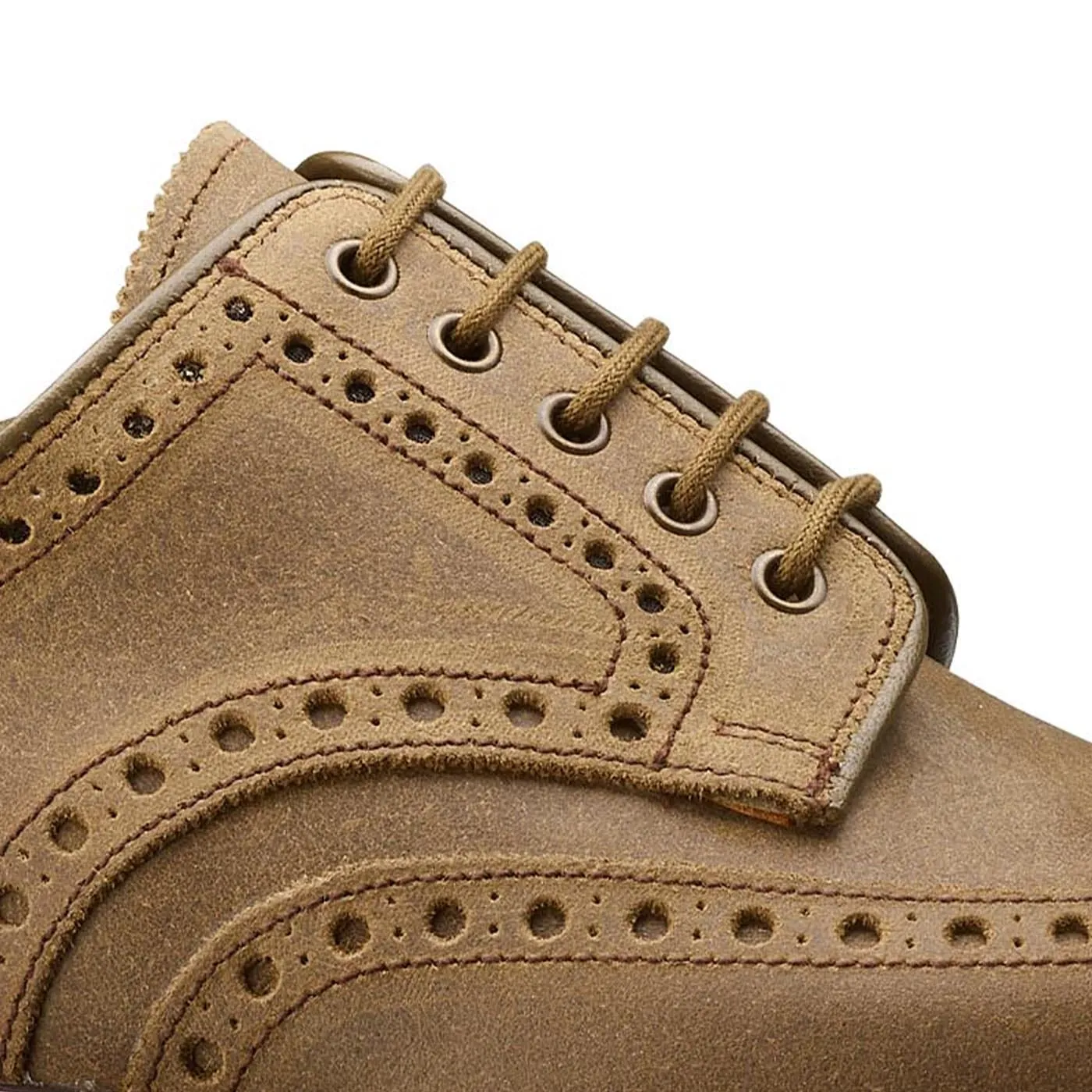 Cardigan 5 Natural Rough-Out Suede,Men Derbys