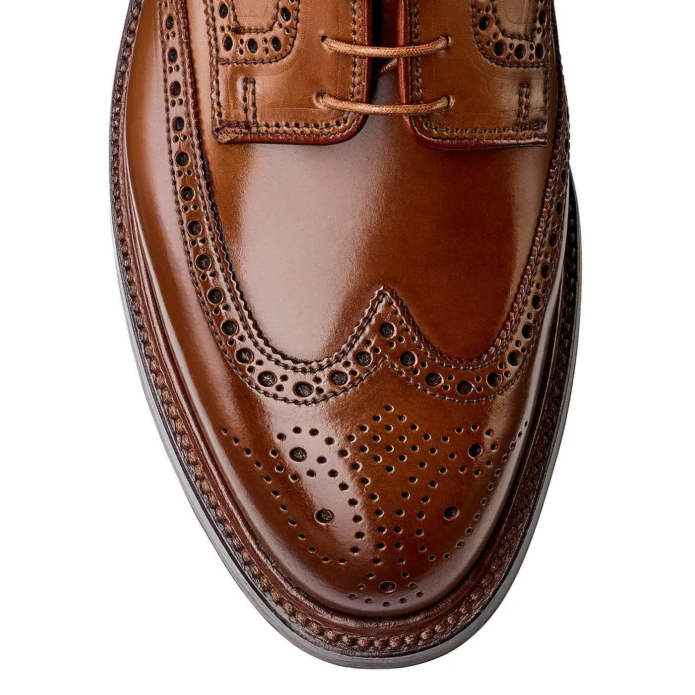Pembroke Whisky Cordovan,Men Derbys