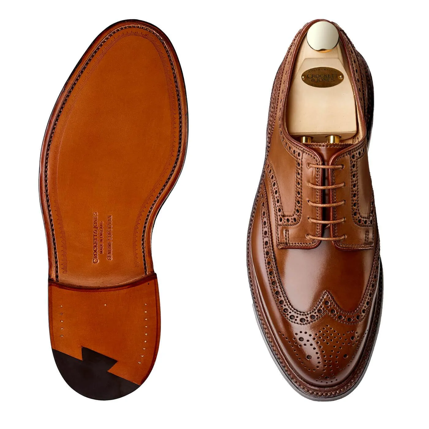Pembroke Whisky Cordovan,Men Derbys