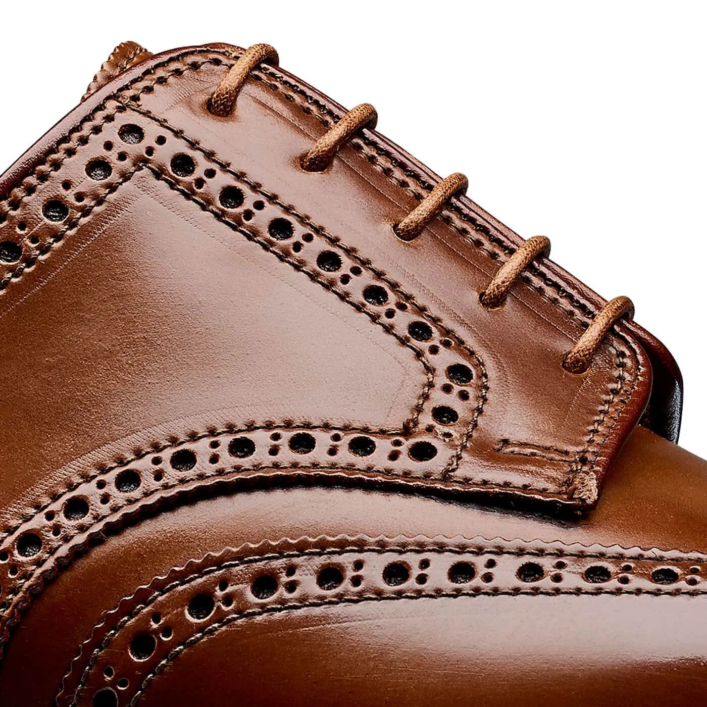 Pembroke Whisky Cordovan,Men Derbys