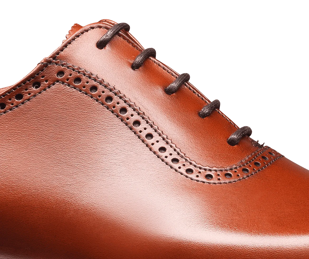 Westbourne Chestnut Burnished Calf,Men Oxfords