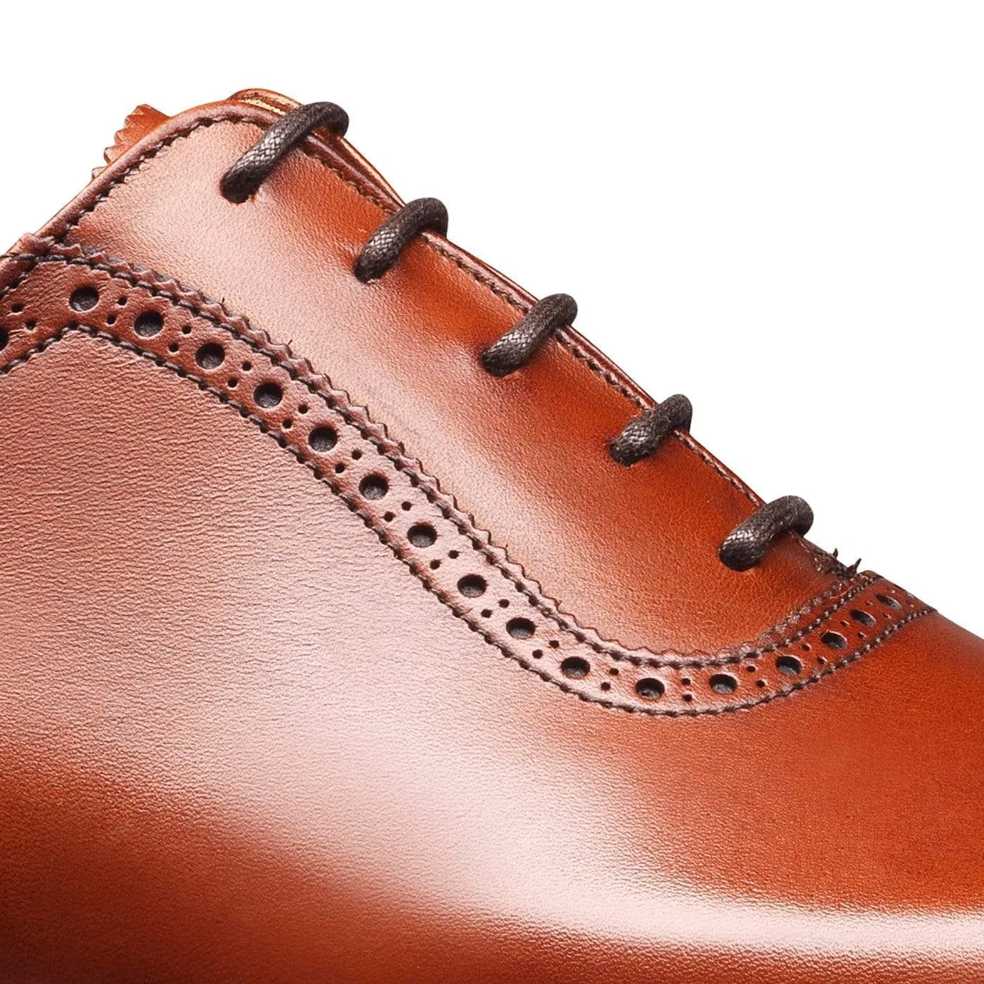 Westbourne Chestnut Burnished Calf,Men Oxfords